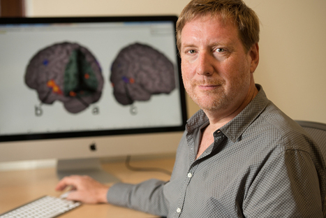 Stanford researchers bridge education and neuroscience to strengthen the growing field of educational neuroscience | Education 2.0 & 3.0 | Scoop.it