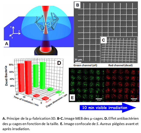 FOCUS PLATEFORME : La plateforme CPBM (Centre de Photonique pour la Biologie et les Matériaux) de l’ISMO, une expertise unique en imagerie de fluorescence et une labélisation IBiSA toute récente ! | Life Sciences Université Paris-Saclay | Scoop.it