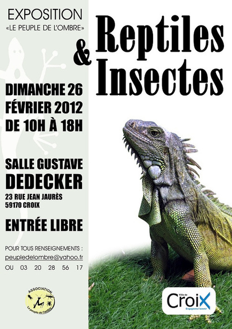Exposition Le peuple de l'ombre (59) | Variétés entomologiques | Scoop.it