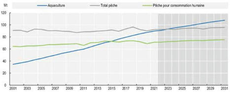 [Rapport ] État des lieux et perspectives du secteur aquacole français à l’horizon 2030 | HALIEUTIQUE MER ET LITTORAL | Scoop.it