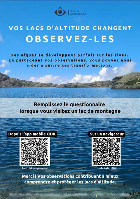 Des algues dans les lacs d'altitude ? - Partagez vos observations - Asters - Conservatoire d'espaces naturels de Haute-Savoie | Biodiversité | Scoop.it