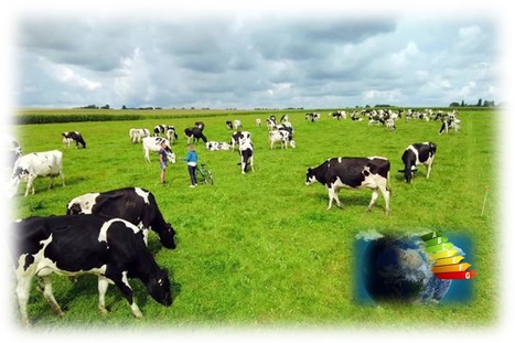 REPORTAGE. Produire du lait en réduisant ses émissions de carbone, le pari réussi de Thierry et Yann Bertot | Lait de Normandie... et d'ailleurs | Scoop.it