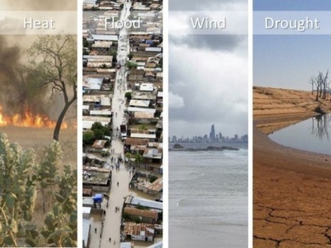 Planning Under Uncertainty: Regime Shifts, Resilience, and Innovation in Urban Ecosystems | The Nature of Cities | URBANmedias | Scoop.it