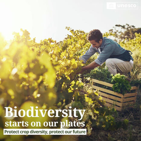 🌾 Agrobiodiversity — the genetic diversity of crops, animals and… | UNESCO | CIHEAM Press Review | Scoop.it