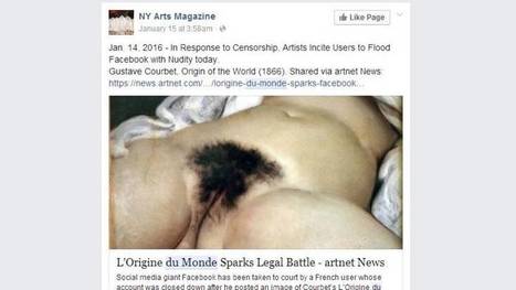 Facebook-vaginaruzie wordt uitgevochten in Frankrijk | Anders en beter | Scoop.it