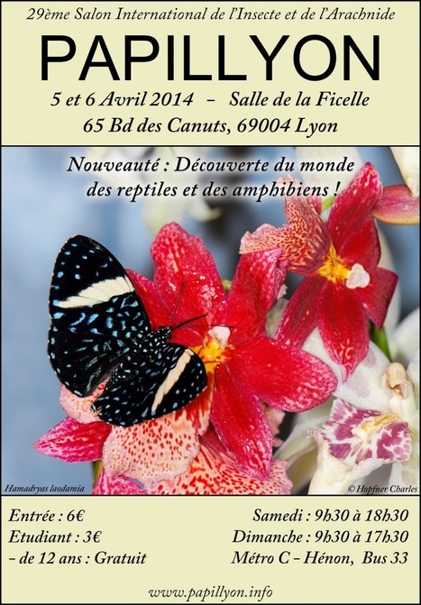 29e Salon International de l'Insecte et de l'Arachnide - Papillyon 2014 | Variétés entomologiques | Scoop.it