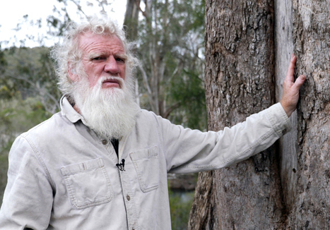 Bruce Pascoe: Aboriginal agriculture, technology and ingenuity - History,Geography,Science,Technologies (1,2,3,4,5,6,7,8,9,10) | Australian Indigenous Education | Scoop.it