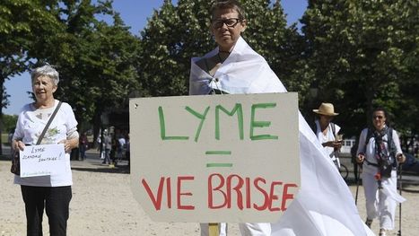 Maladie de Lyme : l'hôpital de Lannemezan dans les Pyrénées ne sera pas centre de référence | Vallées d'Aure & Louron - Pyrénées | Scoop.it