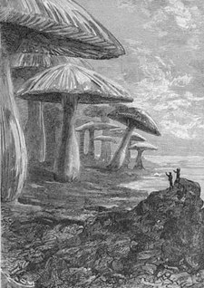Jules Verne préhistorien | Jules Verne News | Scoop.it