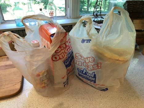 CT’s plastic bag ban – four years later | Industry 411 - Waste Management | Scoop.it