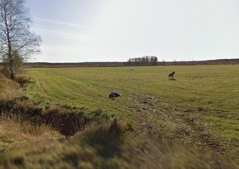Mieux vaut ne pas croiser une voiture Google Street View quand on fait du cheval | Cheval et Nature | Scoop.it