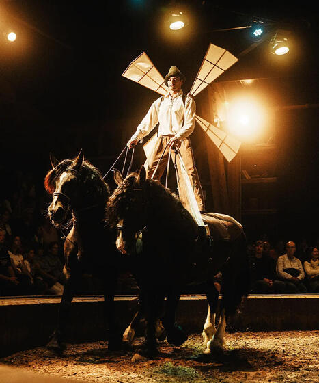 Tarbes - Equestria : Au grand galop pour f&ecirc;ter les 30 ans | Accueil | Scoop.it