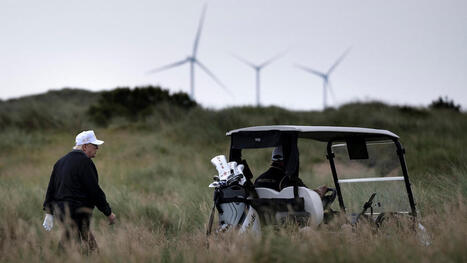 Donald Trump aurait-il d&eacute;clench&eacute; une r&eacute;volution verte malgr&eacute; lui? | POLITIQUES ENVIRONNEMENTALES ET CLIMATIQUES, RSE, FINANCES "VERTES", INFORMATIONS GENERALES | Scoop.it