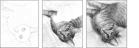 How To Draw a Cat | Drawing and Painting Tutorials | Scoop.it