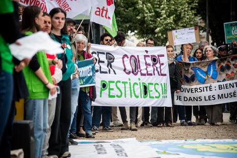 Ravages des pesticides&nbsp;: des citoyens lancent un outil innovant qui rassemble 2 000 &eacute;tudes | Toxique, soyons vigilant ! | Scoop.it