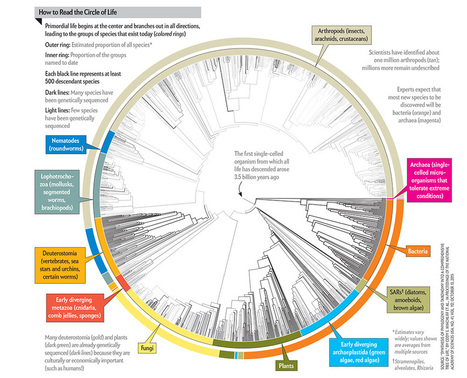 All 2.3 Million Species Are Mapped into a Single Circle of Life | Peer2Politics | Scoop.it