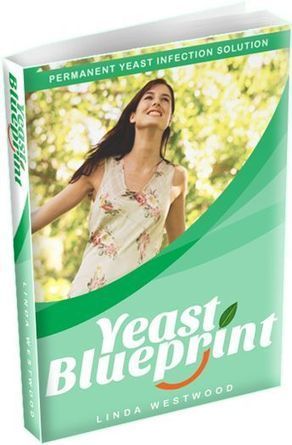 Linda Westwood's Book Yeast Blueprint PDF Free Download | Ebooks & Books (PDF Free Download) | Scoop.it