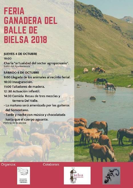 Foire des éleveurs à Bielsa les 4 et 6 octobre | Vallées d'Aure & Louron - Pyrénées | Scoop.it