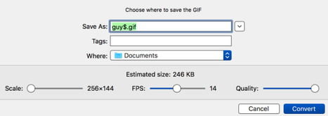 Gifski encoder – Créez vos propres Gif animés à partir de vidéos – Korben | CONNECTED! | Scoop.it