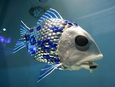 Des poissons robotis&eacute;s pour sauver nos Oc&eacute;ans? | Best of Robots ... | Les robots domestiques | Scoop.it