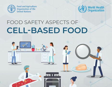 Aliments de culture cellulaire : de "nouveaux dangers" selon la FAO et l'OMS | Lait de Normandie... et d'ailleurs | Scoop.it