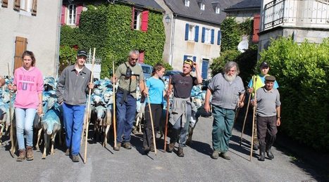 Transhumances : «Jeannot» traverse le village depuis 60 ans  | Vallées d'Aure & Louron - Pyrénées | Scoop.it