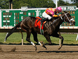 Force Freeze Bows Tendon in Gulfstream Drill | BloodHorse.com | Racing News | Scoop.it