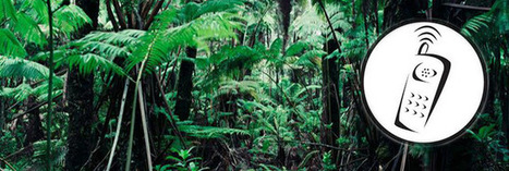 Pour sauver l’Amazonie, les arbres équipés de téléphones portables ! | Economie Responsable et Consommation Collaborative | Scoop.it