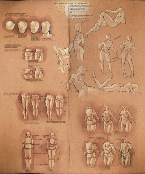 Female anatomy Reference by DeviantTear on DeviantArt