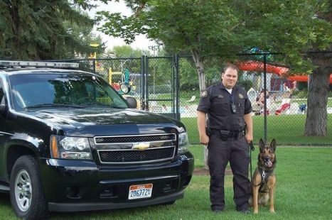 How does trauma affect police officers? | Crisis Intervention Counseling | Scoop.it