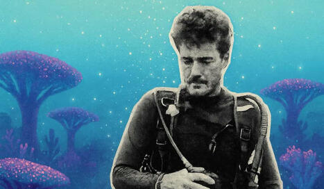 Il a créé le métier de « jardinier du corail » et aujourd’hui, la planète entière le regarde faire ! | Biodiversité - @ZEHUB on Twitter | Scoop.it