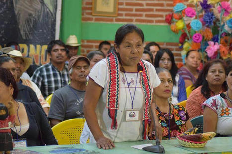 La medicina tradicional. Mary Chuy Patricio Martínez – | Enfermedades y Salud | Scoop.it