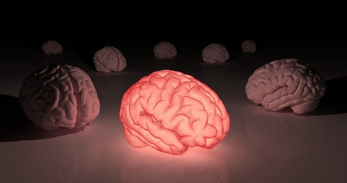 Inflamed Delusions - braindecoder | The Health Report | Scoop.it