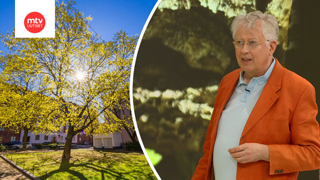 "Pahin viikonloppu" &ndash; Pekka Pouta avaa &auml;itienp&auml;iv&auml;n vitsausta | 1Uutiset - Lukemisen t&auml;hden | Scoop.it