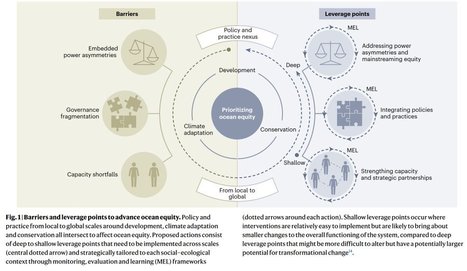 Advancing ocean equity at the nexus of development, climate and conservation policy - Nature Ecology & Evolution | Biodiversité | Scoop.it