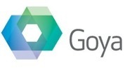 Excel Plugin for FileMaker | Goya | Claris FileMaker Love | Scoop.it