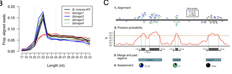 Fungal Argonaute proteins act in bidirectional cross-kingdom RNA interference during plant infection | pnas | RMH | Scoop.it