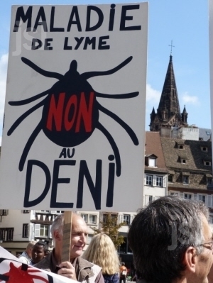 Au procès du traitement de la maladie de Lyme, lumières sur un déni médical - Rue89 Strasbourg | EntomoNews | Scoop.it