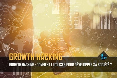 Qu'est-ce que le Growth Hacking ? - L'utiliser pour développer sa société | Social media | Scoop.it