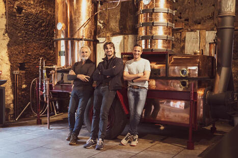 Domaine Tariquet&nbsp;: &laquo;&nbsp;Notre p&egrave;re a fait du vin blanc pour continuer &agrave; faire du bas-armagnac&nbsp;&raquo; | D&eacute;veloppement local | Scoop.it