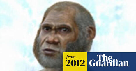 Our human ancestors and their relatives &ndash; in pictures | Anthropology | The Guardian | 1Uutiset - Lukemisen t&auml;hden | Scoop.it