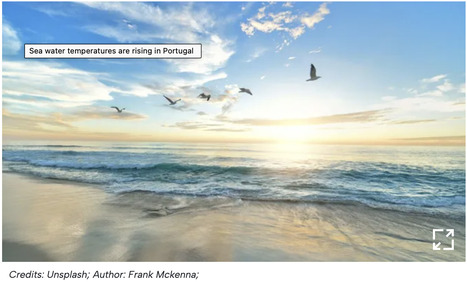Sea water temperatures are rising in PORTUGAL | CIHEAM Press Review | Scoop.it