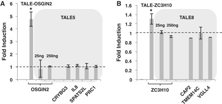 Engineering synthetic TAL effectors with orthogonal target sites | TAL effector science | Scoop.it