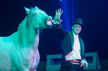 Chevaux en vedette pour nous emmener vers Noël | Linda Corbo | Actualités | Salon du Cheval | Scoop.it