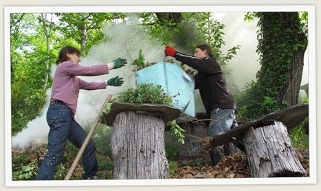 L'arbre aux abeilles - Ruche tronc et abeille noire - Dernières nouvelles | Les Colocs du jardin | Scoop.it