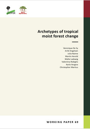 Archetypes of tropical moist forest change | &Eacute;cosyst&egrave;mes Tropicaux | Scoop.it