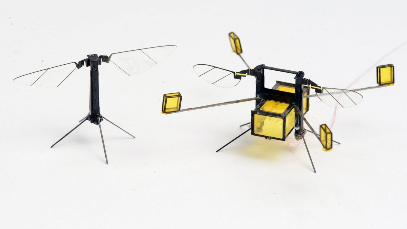 Scientists made robotic bees that can fly and s...