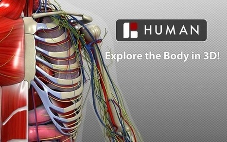 3D Bio Digital Human - #atlasanatómicohumano en #3d #gratuito | Educación en Castilla-La Mancha | Scoop.it