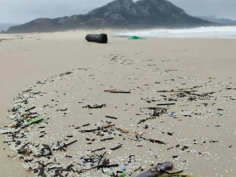 Denuncian la aparici&oacute;n de grandes cantidades de pellets de pl&aacute;stico en playas gallegas | Clima y Medio Ambiente | EL PA&Iacute;S / le 04.01.2024 | Pollution accidentelle des eaux (+ d&eacute;chets plastiques) | Scoop.it
