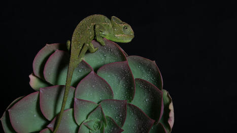 Experiences Shape Beliefs. They Shouldn’t Determine Them. | Christian Spiritual Counseling | Scoop.it